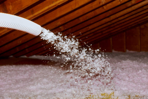 Best Spray Foam Insulation in Pharr, TX