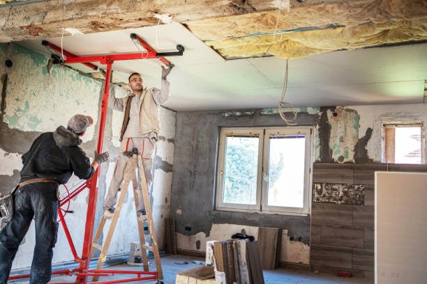 Best Insulation Maintenance and Repair in Pharr, TX