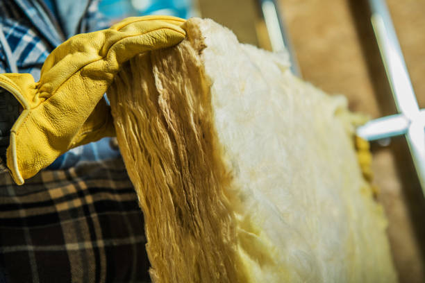 Best Residential Insulation in Pharr, TX