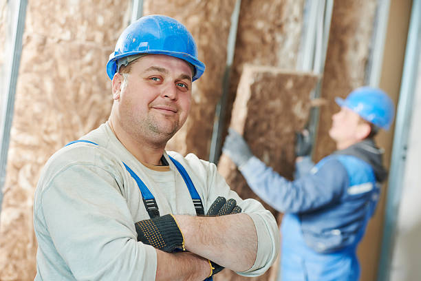 Best Geographic-Specific Insulation Services in Pharr, TX